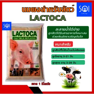 ภาพหน้าปกสินค้านมผงสำหรับสัตว์ นมผงแลคโตคา Lactoca อาหารแทนนมสำหรับสัตว์ นมผงลูกโค นมผงลูกหมู นมผงลูกแพะ หางนมผง ที่เกี่ยวข้อง