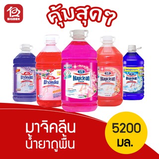 [1 แกลลอน] Magiclean มาจิคลีน น้ำยาถูพื้น 5200 มล. ( 5.2 ลิตร ) **4แกลลอน/คำสั่งซื้อเท่านั้นนะครับ/ค่ะ**