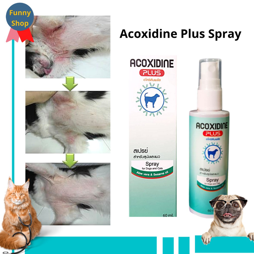 รูปภาพสินค้าแรกของ(พร้อมส่ง / เชื้อราแมว เชื้อราสุนัข ) ACOXIDINE plus อโค ซิดีน พลัส สเปรย์ แก้คัน ยีสต์ ผื่น ใช้คู่กับ มาราเซป มาลา'เซป