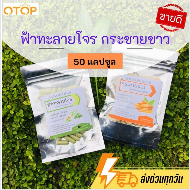 ภาพหน้าปกสินค้าสมุนไพรไทย OTOP พร้อมส่ง ฟ้าทะลายโจร กระชาย ตรีผลา อื่นๆ จากร้าน sherbet89 บน Shopee