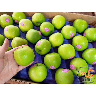 ภาพขนาดย่อของภาพหน้าปกสินค้าแอปเปิ้ลเขียว (1ลูก) ( FRANCE / USA / NZL ) ~ลดพิเศษ~ Green Apple กรอบ อร่อย ผลไม้ต่างประเทศ ผลไม้พรีเมี่ยม ผลไม้นำเข้า จากร้าน fruitage บน Shopee