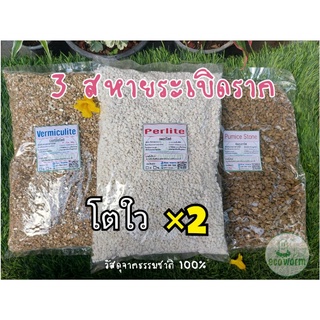 วัสดุปลูก คุณภาพสูง (ระเบิดราก) โตใว×2 เพอร์ไลต์ เวอร์มิคูไลต์ หินภูเขาไฟ