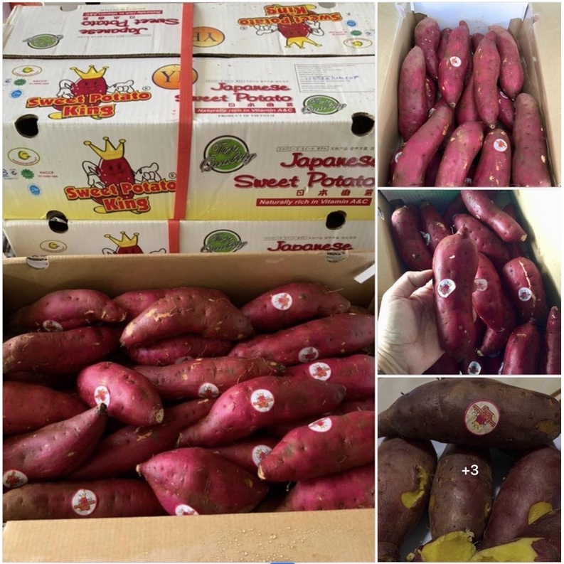 ภาพหน้าปกสินค้ามันหวานญี่ปุ่น มันหวานญี่ปุ่นตรามงกุฏ เนื้อสีเหลือง (Sweet Potato King)( 5 กิโลกรัม) มันปลูกที่เวียดนาม จากร้าน thai_fresh_farm_shop บน Shopee