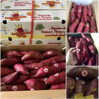ภาพขนาดย่อของภาพหน้าปกสินค้ามันหวานญี่ปุ่น มันหวานญี่ปุ่นตรามงกุฏ เนื้อสีเหลือง (Sweet Potato King)( 5 กิโลกรัม) มันปลูกที่เวียดนาม จากร้าน thai_fresh_farm_shop บน Shopee