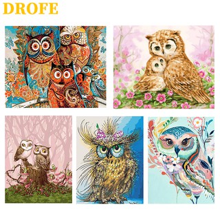 Drofe ภาพระบายสีตามตัวเลข ลายนกฮูก แบบไม่มีกรอบ สำหรับตกแต่งผนังบ้าน (ขนาด 40X50 ซม.)