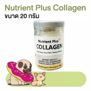ภาพหน้าปกสินค้าอาหารเสริมสุนัข อาหารเสริมแมว Nutrient Plus Collagen คอลลาเจน 20g โดย Yes pet shop ที่เกี่ยวข้อง