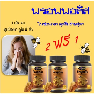 ภาพหน้าปกสินค้าส่งฟรี 2 แถม 1 💥_Auswelllife Propolis พรอพอลิส 1000 mg ตัวต้านแบคทีเรีย และสร้างภูมิให้ร่างกาย ที่เกี่ยวข้อง