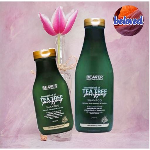 beaver-tea-tree-purifying-shampoo-350-730-ml-แชมพู-ขจัดรังแค-ความมันบนหนังศีรษะ-และกลิ่นอับ