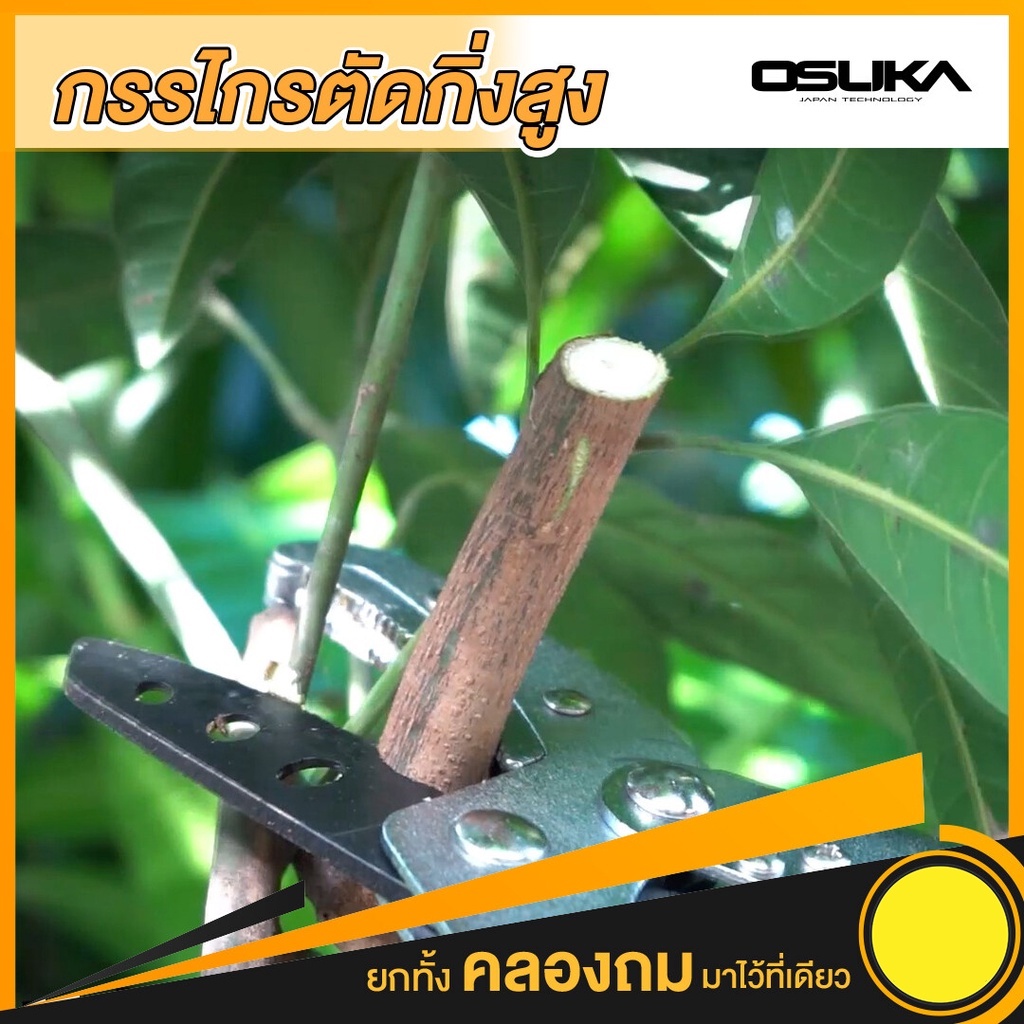 กรรไกรตัดกิ่งสูงยืดได้osuka-ราคาถูก-กรรไกร-กรรไกรตัดกิ่ง-กรรไกรตัดกิ่งไม้