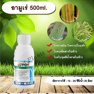 อามูเร่ 500ml. ไดฟีโนโคนาโซล+โพรพิโคนาโซล สารกำจัดเชื้อรา โรคเมล็ดด่าง โรคราสนิม โรคใบจุดสีน้ำตาล โรคกาบใบแห้ง