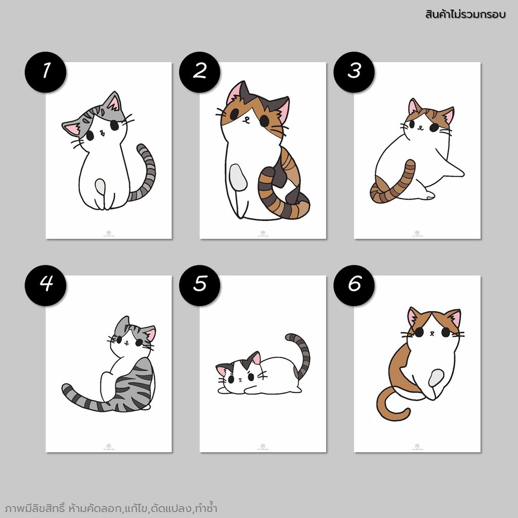 ภาพแมว-รูปแมว-รูปตกแต่ง-ภาพพิมพ์-กระดาษ100ปอนด์-ขนาดa3-a4-a5-ภาพติดผนัง-รูปติดผนัง-ทาสแมว-แมวน่ารัก-pretty-cat
