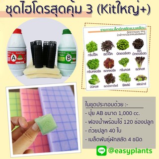 ชุดปลูกผัก สลัด ไฮโดรโปนิกส์ DIY สุดคุ้ม (Kit ใหญ่ Plus)