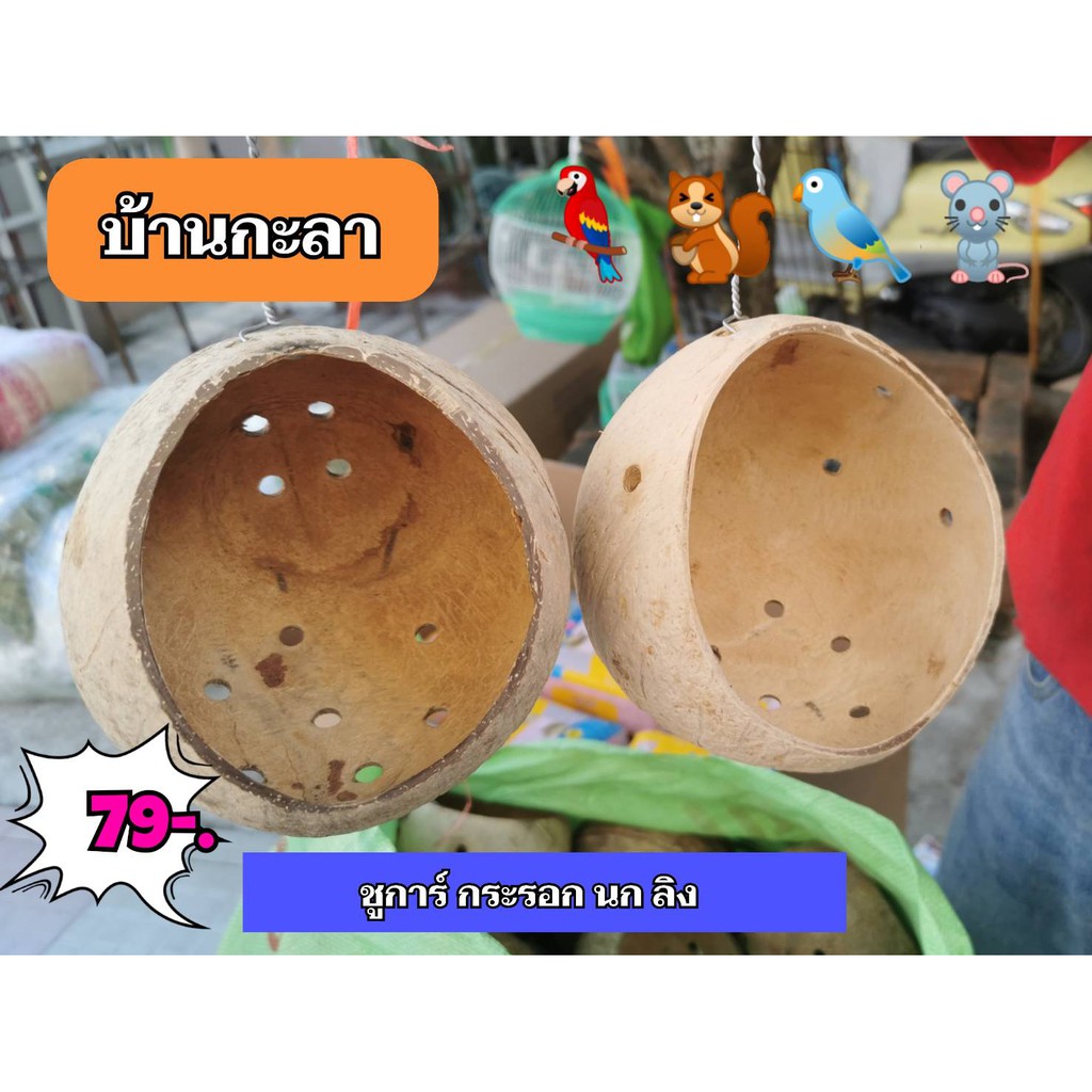 บ้านนก-บ้านชูการ์-บ้านกะลาสำหรับสัตว์เลี้ยง-ลดราคา-55-บาท-สุดคุ้มราคาประหยัด-แขวนกรงได้