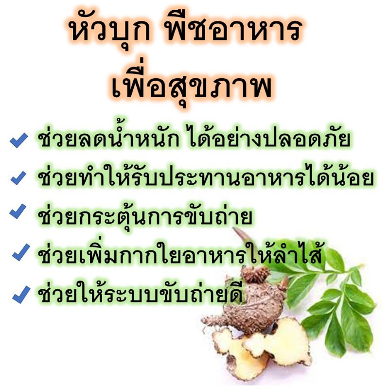 หัวบุก-พืชอาหารเสริม-เพื่อสุขภาพ