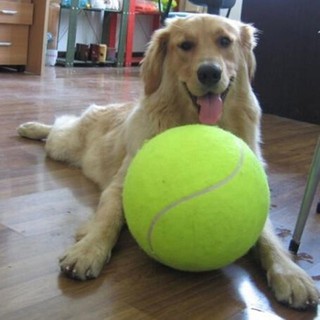 🔥🔥 ลูกเทนนิส ขนาดใหญ่ ของเล่น สำหรับสัตว์เลี้ยง สุนัข ลูกสุนัข 9.5 นิ้ว 💯