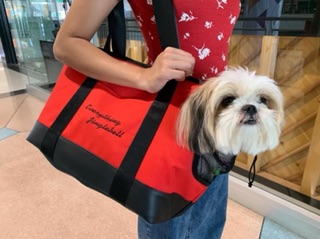 กระเป๋าใส่สัตว์เลี้ยง กระเป๋าหมา Pet Bag