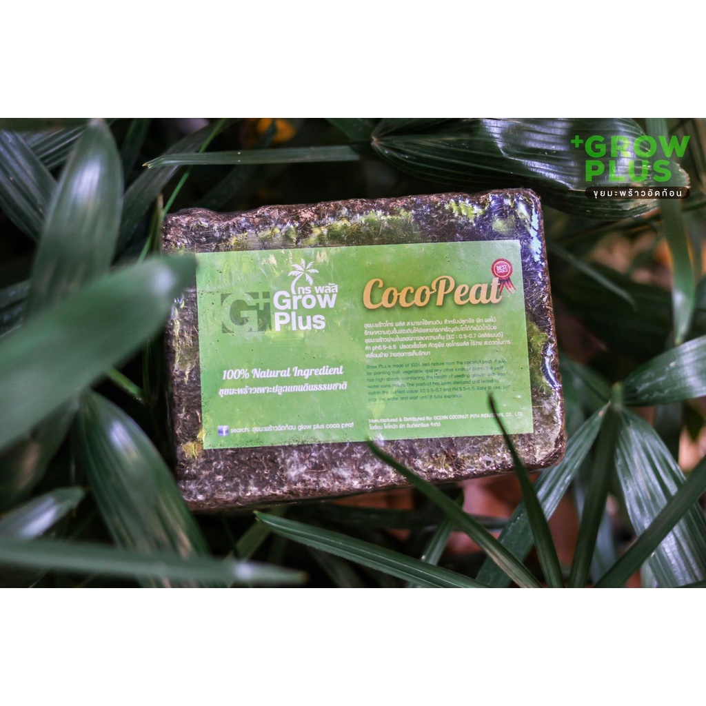 cocopeat-ขุยมะพร้าวอัดก้อน-ขนาด-400-กรัม-ราคาถูก-คุณภาพดี-100-เหมาะสำหรับเกษตรกรและคนรักต้นไม้