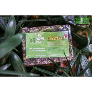 Cocopeat ขุยมะพร้าวอัดก้อน ขนาด 400 กรัม ราคาถูก คุณภาพดี 100% เหมาะสำหรับเกษตรกรและคนรักต้นไม้