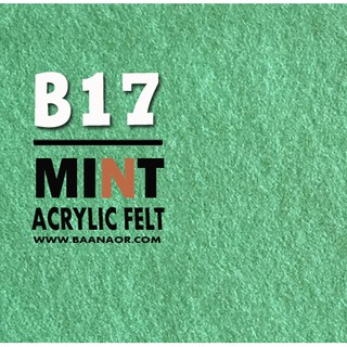 B17 ผ้าสักหลาด สองหน้า เนื้อนิ่ม ตัดแบ่งขนาดชิ้นเล็ก จำนวน 1 ชิ้น Acrylic Felt Craft Sewing Felt Fabric
