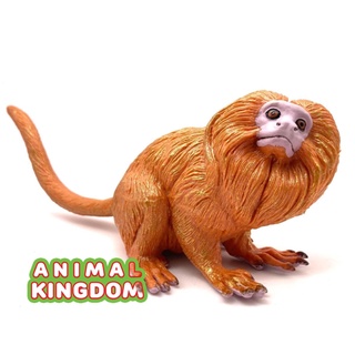 Animal Kingdom - โมเดลสัตว์ ลิง สิงโตหน้าทอง ขนาด 22.00 CM (จากหาดใหญ่)