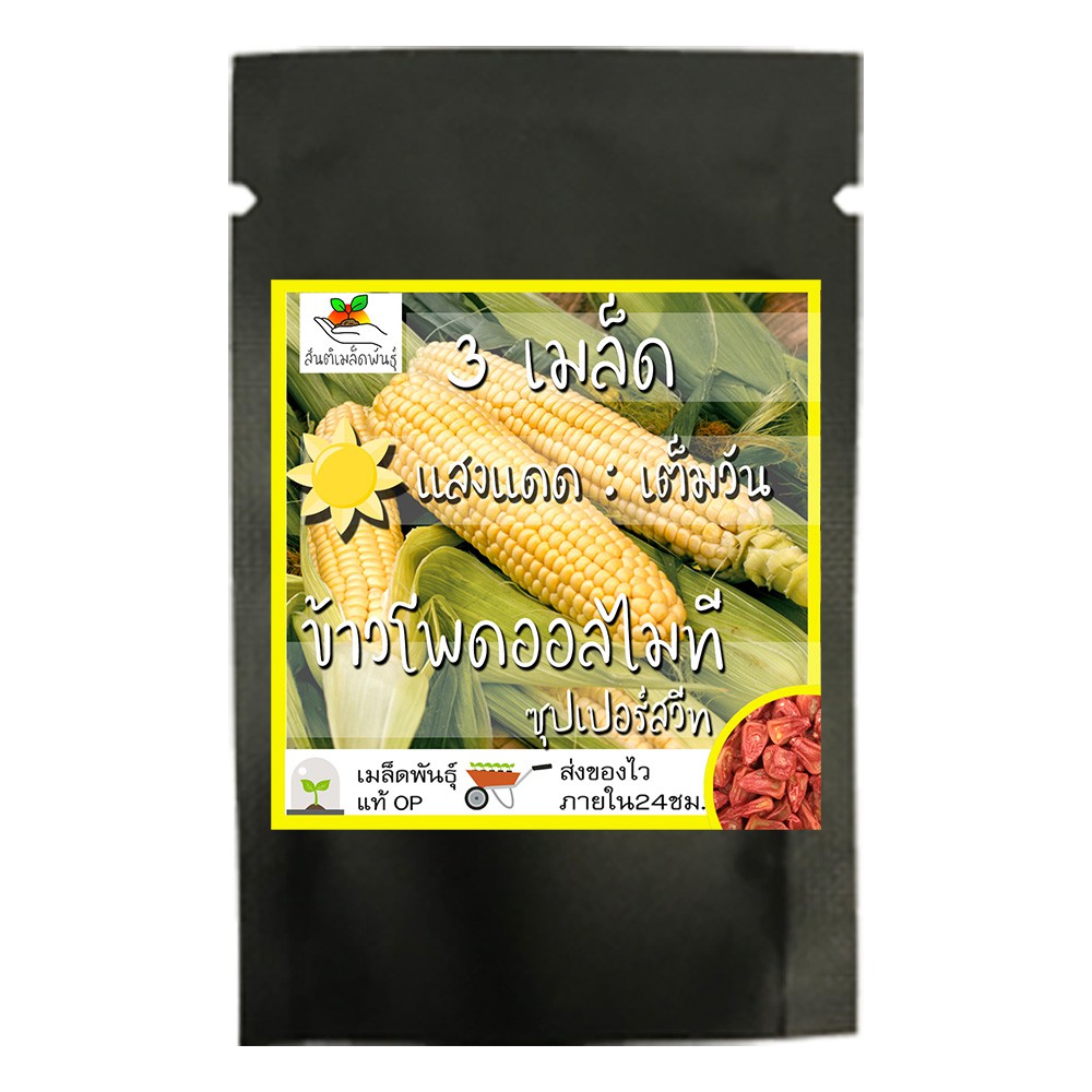เมล็ดพันธุ์ ข้าวโพดหวานออลไมทีซุปเปอร์สวีท 99 F1 20 เมล็ด Almighty ...