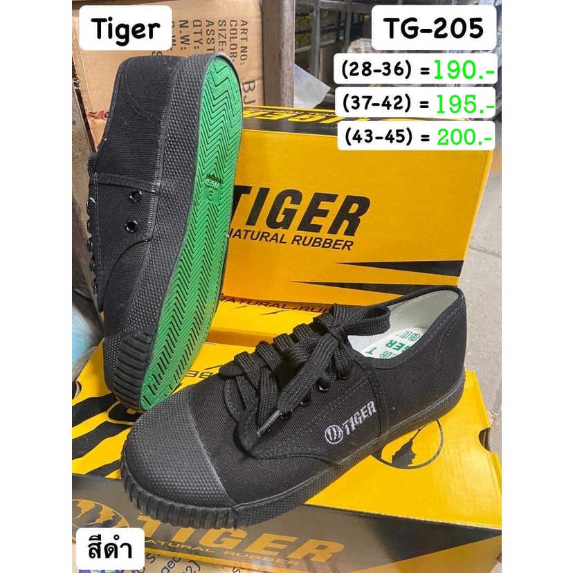 b-tg205-ไทเกอร์-รองเท้าผ้าใบนักเรียน-รอเท้าผ้าใบแบบผูกเชือก-สีขาว-tg205