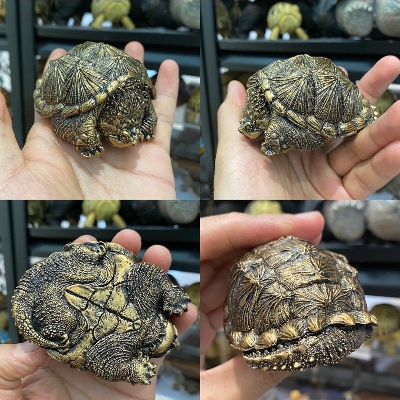 bighead series snipping turtle figurines recast โมเดลเต่าตัวเล็ก ...