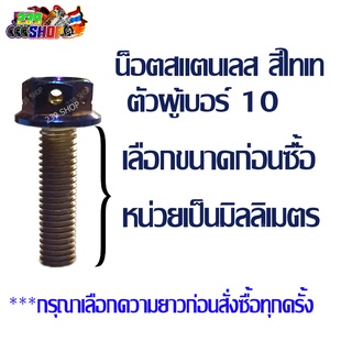 น๊อตไทเท ขนาด 10 ยาว10 ม.ม. 239 SHOP2