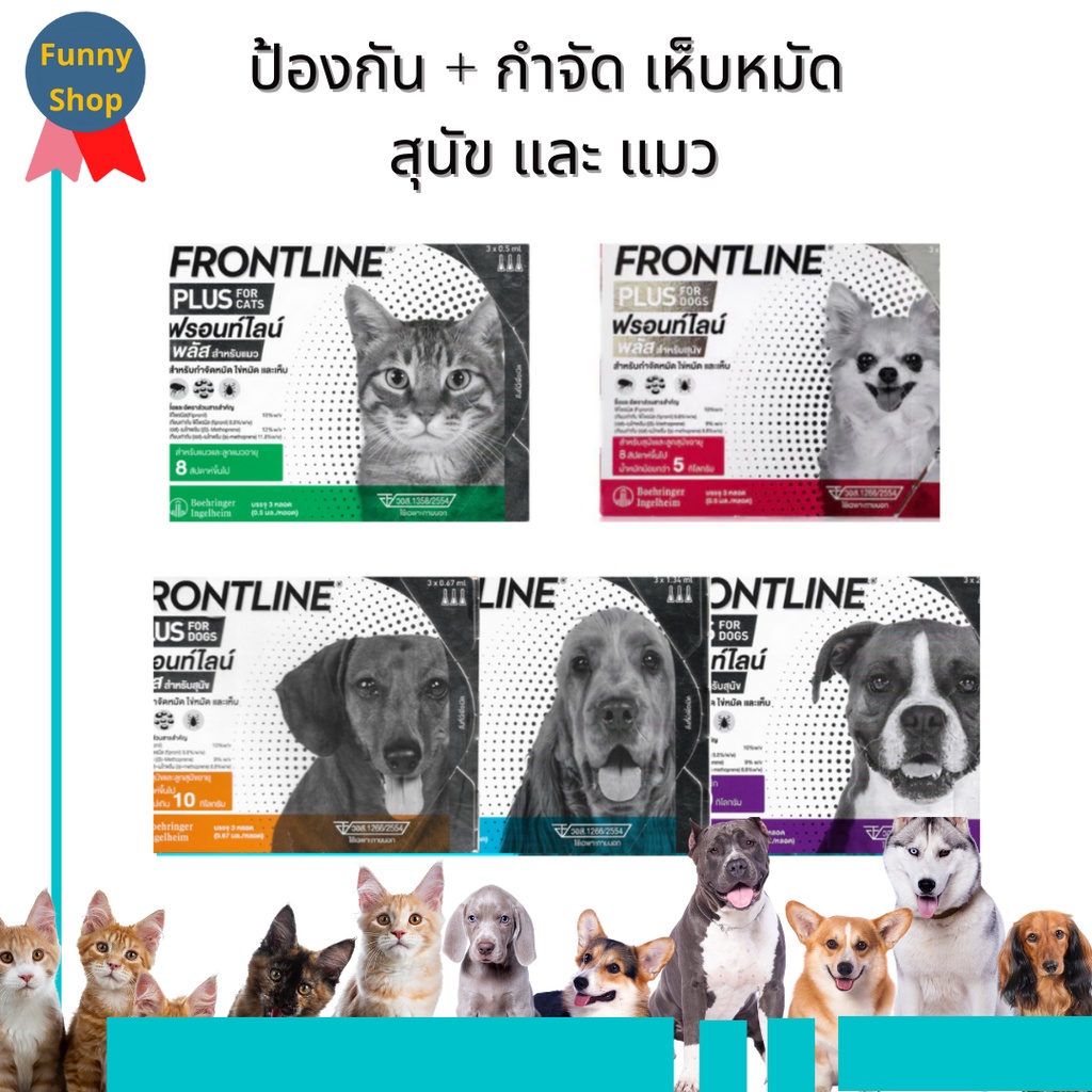 ภาพหน้าปกสินค้า(พร้อมส่ง / ของแท้) Frontline Plus ฟรอนท์ไลน์ พลัส ยาเห็บหมัดสุนัข ยาหยอดหมัดแมว จากร้าน happypoggi บน Shopee