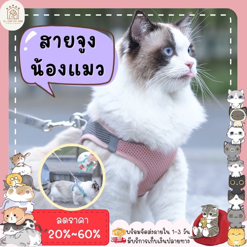 สายจูง-สายจูงแมว-สายจูงสัตว์เลี้ยง-ปลอกคอแมว-เชือกจูงแมว-มี-3-สี-cat-harness