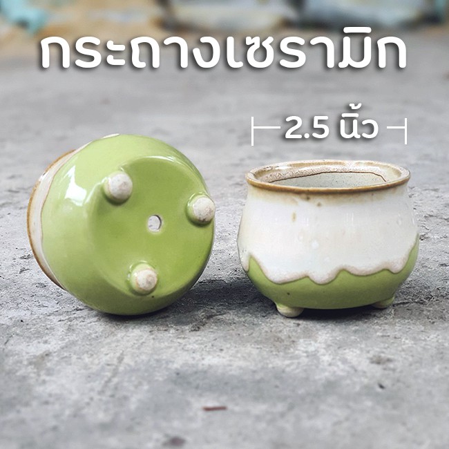 กระถางเซรามิกเคลือบ-3ขา-2-5นิ้ว-กระถางแคคตัส-เจาะรู