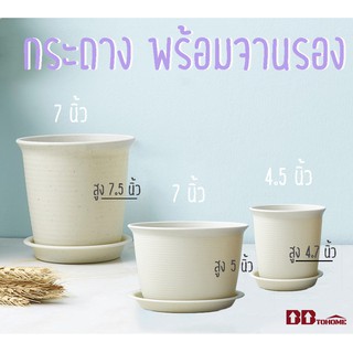 [BBtoHOME] กระถาง กระถางต้นไม้ สีขาวนวลลายหินอ่อน