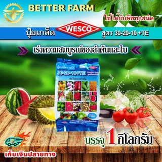 ภาพหน้าปกสินค้าบรรจุ 1 กิโลกรัม WESCO ปุ๋ย 30-20-10 +TE เร่งความสมบูรณ์ของลำต้นและใบ ที่เกี่ยวข้อง