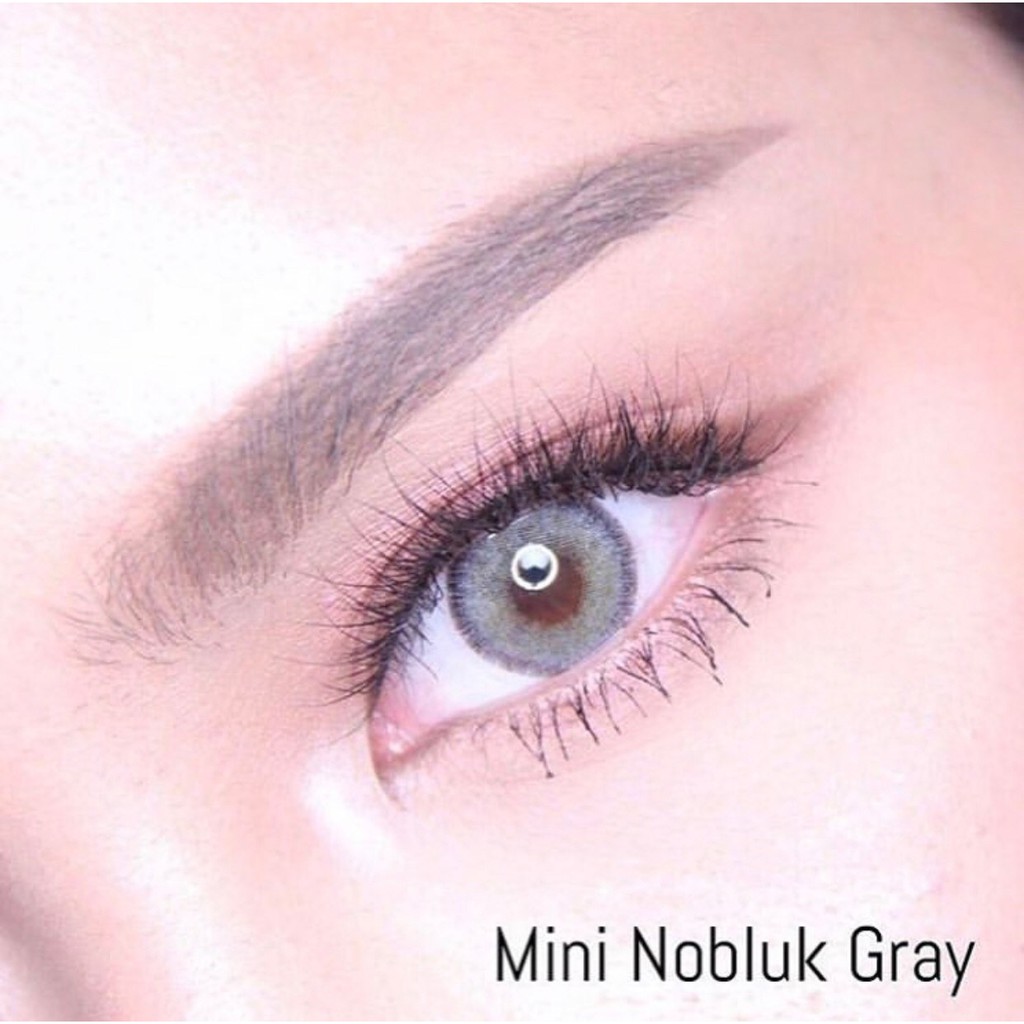 mini-nobluk-dreamcolor1-น-53-2554