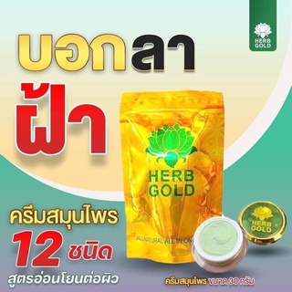 🌿Herb Gold เฮิร์บ โกลด์ รีฟิล 🌿ครีมเดี่ยว 1กระปุก ขนาด 30กรัม