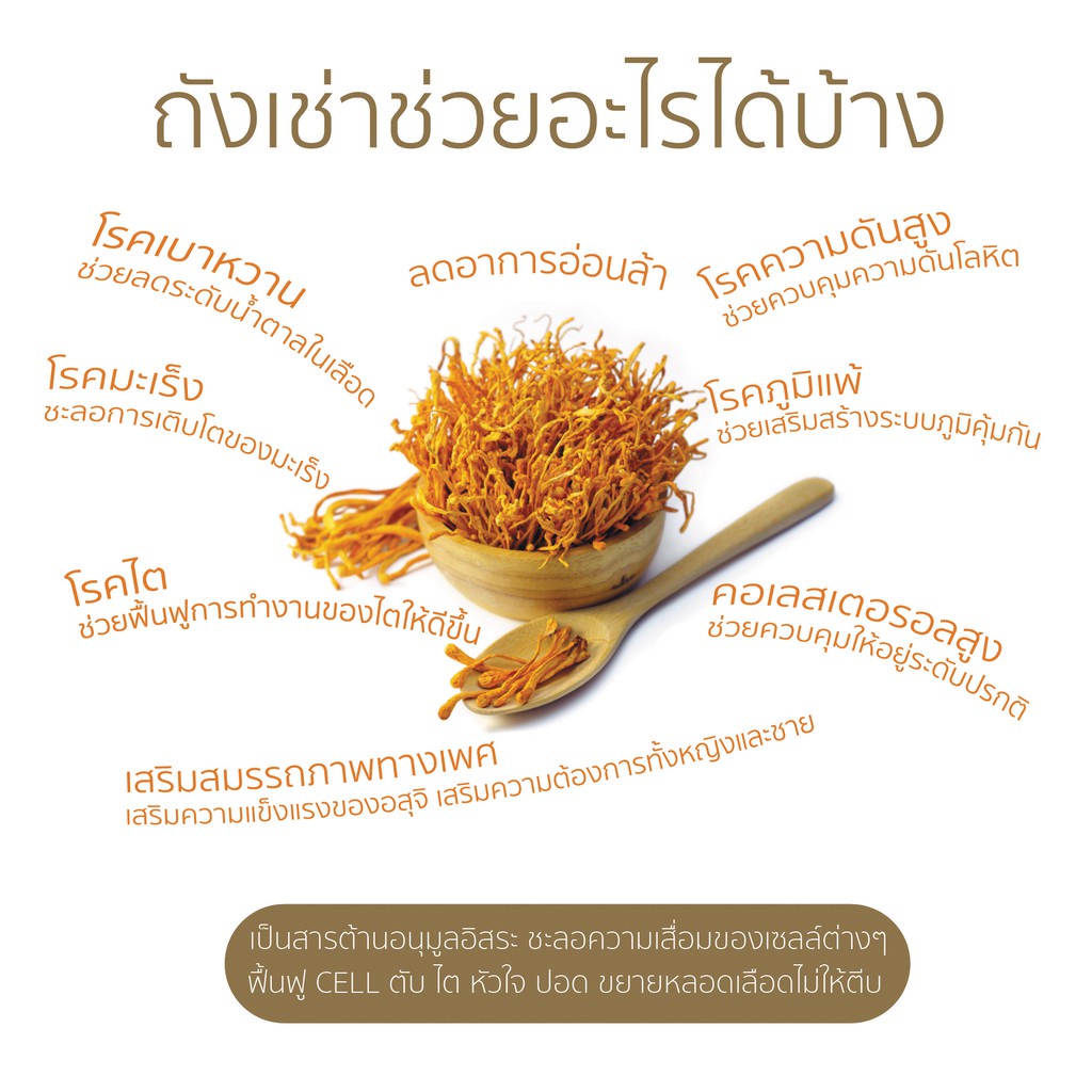 sale-อาหารเสริมขาดสารอาหาร-ถั่งเช่าสีทอง-ออแกนิก-50g-100g-อาหารเสริมขายดี