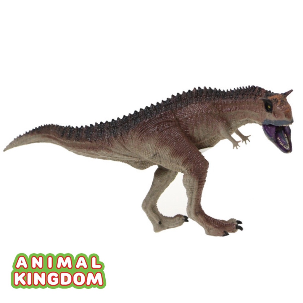 animal-kingdom-โมเดลไดโนเสาร์-camotaurus-เทา-ขนาด-27-00-cm-จากหาดใหญ่