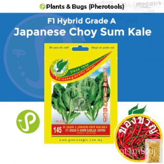 Green Eagle Japanese Choy Sum Kale Seeds 145 F1 Hybrid Grade A (Pherotools Seeds) (Plants &amp; Bugs)seeds/男装/生菜/儿童/文胸/母婴/鲜花