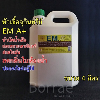 * แกลลอน 4 ลิตร * EM A+ หัวเชื้อจุลินทรีย์บำบัดน้ำเสีย กำจัดกลิ่น ย่อยสลายไขมัน กำจัดคราบตะไคร่น้ำ ยี่ห้อ มิตรใหม่ฟาร์ม