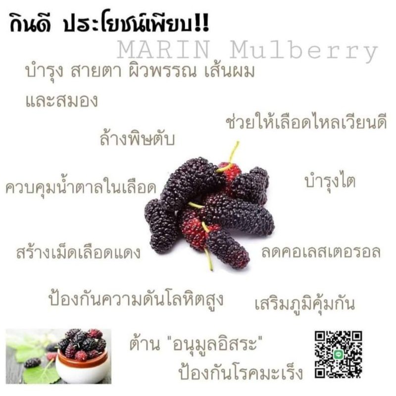 marin-mulberry-น้ำมัลเบอร์รี่-ลูกหม่อน-100-ขนาด-200ml
