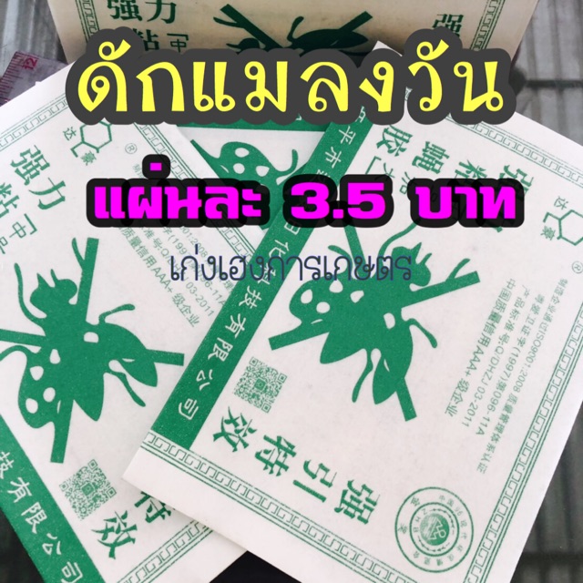 กาวดักแมลงวันเเผ่นละ3-5-บาท-ขาย-10-แผ่นต่อชุด