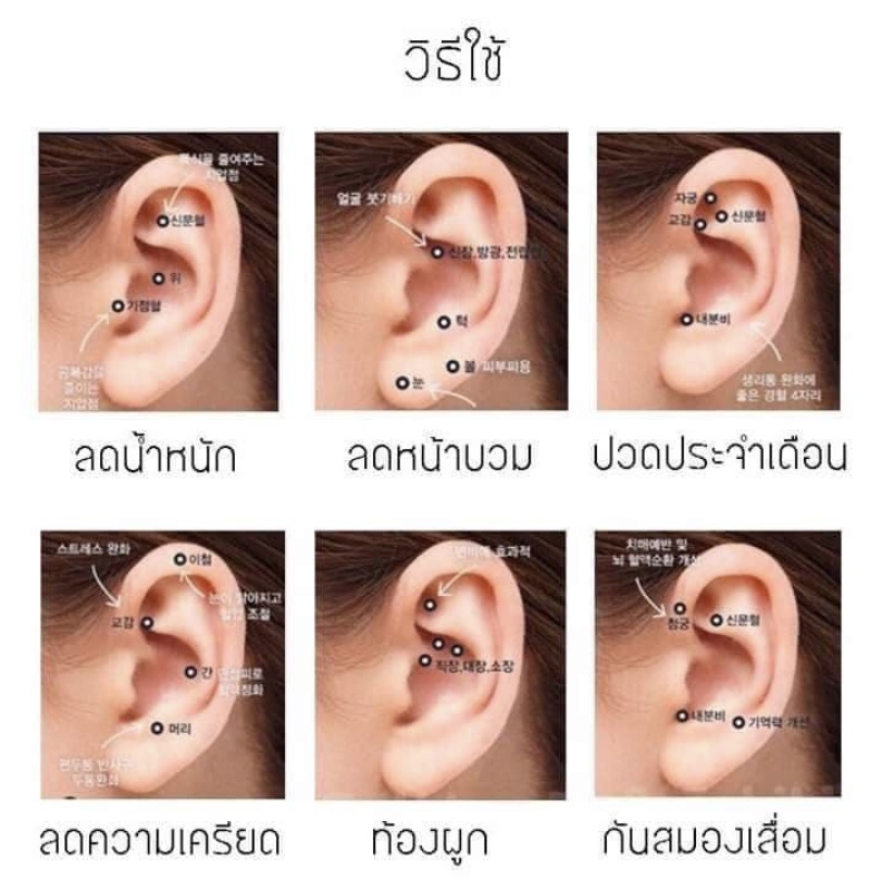 เมล็ดผักกาดแปะหู-เมล็ดผักกาดลดความอ้วน-แปะหูลดความอ้วน-เม็ดแปะหู-เม็ดแปะหูเพื่อสุขภาพ