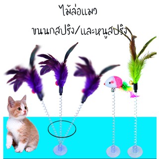 ภาพหน้าปกสินค้าไม้ตกแมว ของเล่นแมว ตุ๊กตาของเล่น สำหรับสัตว์เลี้ยง รุ่น สปริงมีจุ๊บสุญญากาศ ที่เกี่ยวข้อง