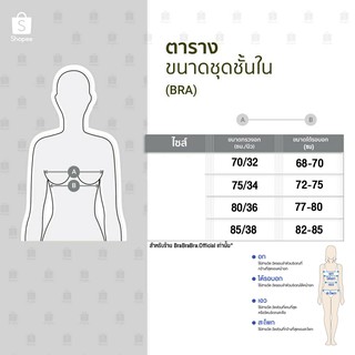 ภาพขนาดย่อของภาพหน้าปกสินค้า𝑩𝒓𝒂𝑩𝒓𝒂𝑩𝒓𝒂 ️  bra-004 มีไซส์ใหญ่ บราถนอมทรง เก็บข้าง อกชิด V เป็นทรง V Bra จากร้าน brabrabra.official บน Shopee