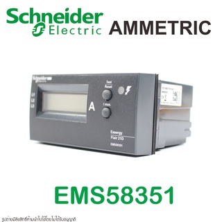 EMS58351 Schneider Electric FLAIR 21D Schneider Electric