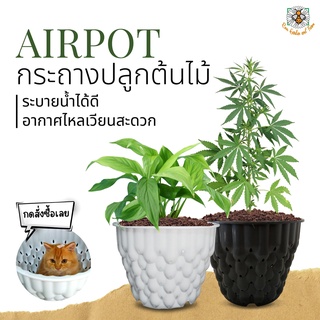 กระถางปลูกต้นไม้ Air pot ระบายน้ำได้ดี เร่งราก