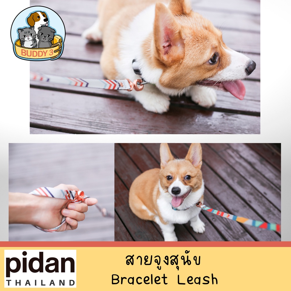 pidan-สายจูง-รุ่น-leash-circular