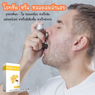 ภาพขนาดย่อของภาพหน้าปกสินค้าPP Propolis ลดสิว ลดอักเสบ เเผลเเห้งไว เสริมภูมิคุ้มกัน จากร้าน poilypoyshop บน Shopee ภาพที่ 6