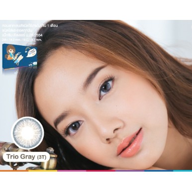 aboutlens-maxim-trio-แมกซิม-ทรีโอ-กล่องน้ำเงิน