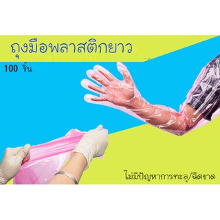 ถุงมือพลาสติกแขนยาว สำหรับการผสมเทียมสัตวแพทย์